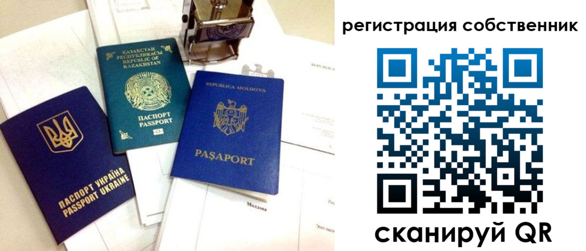 временная регистрация поиск в Камчатской области